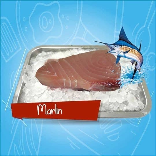 Harga Ikan Marlin